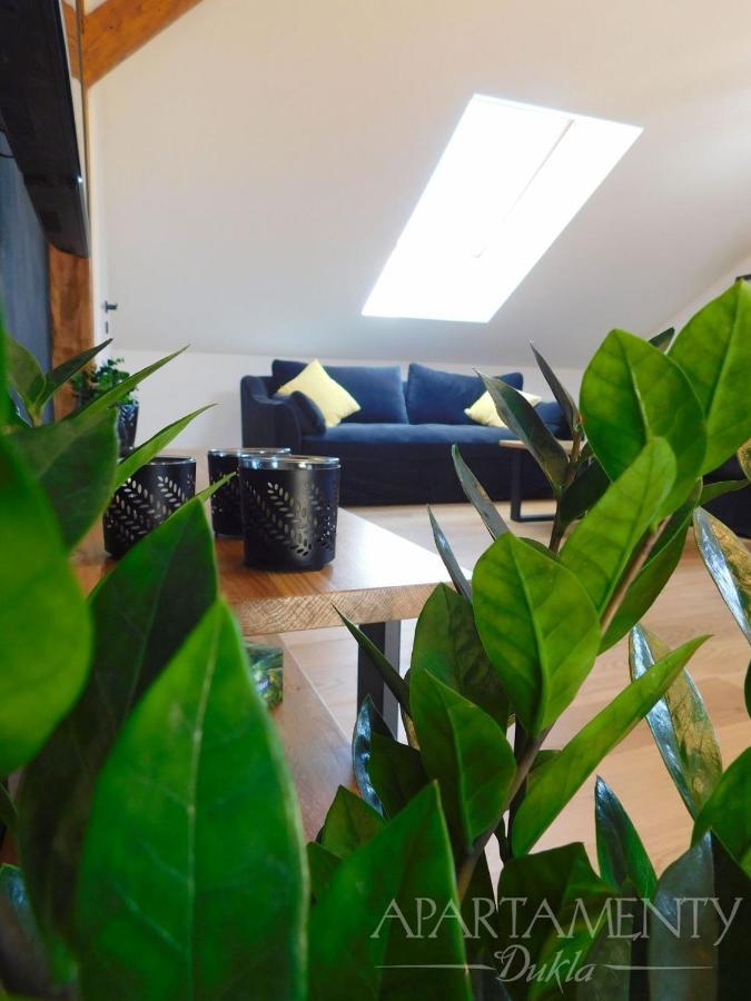 Apartamenty Dukla Luaran gambar